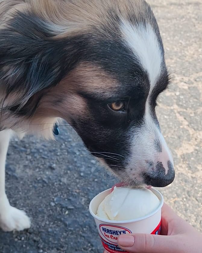 Callie, The Limitless Contracting Mascot